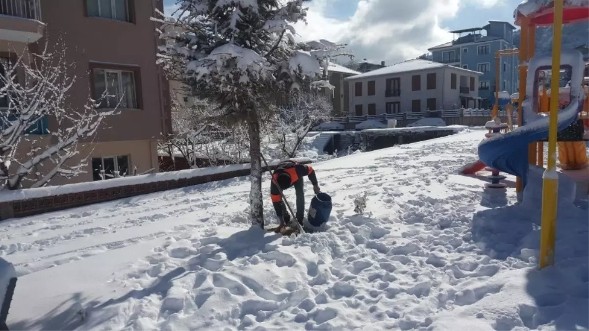 Sokak Hayvanları Unutulmadı