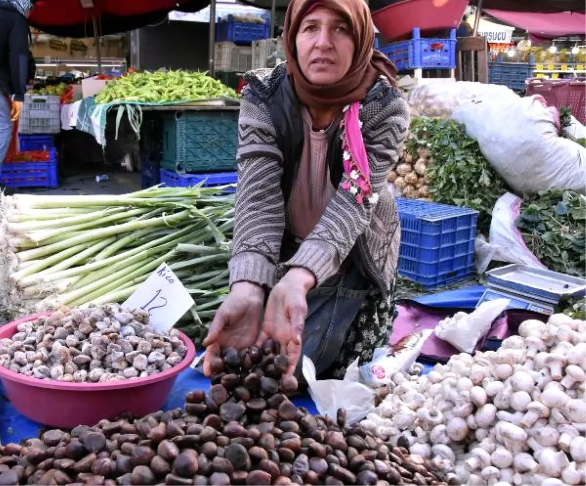 Türk Kestanesine En Fazla Talep İtalya\'dan