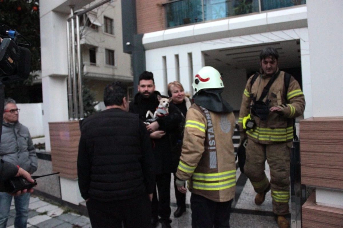 Ünlü Şarkıcı ve Köpeği Yangın Çıkan Binada Mahsur Kaldı