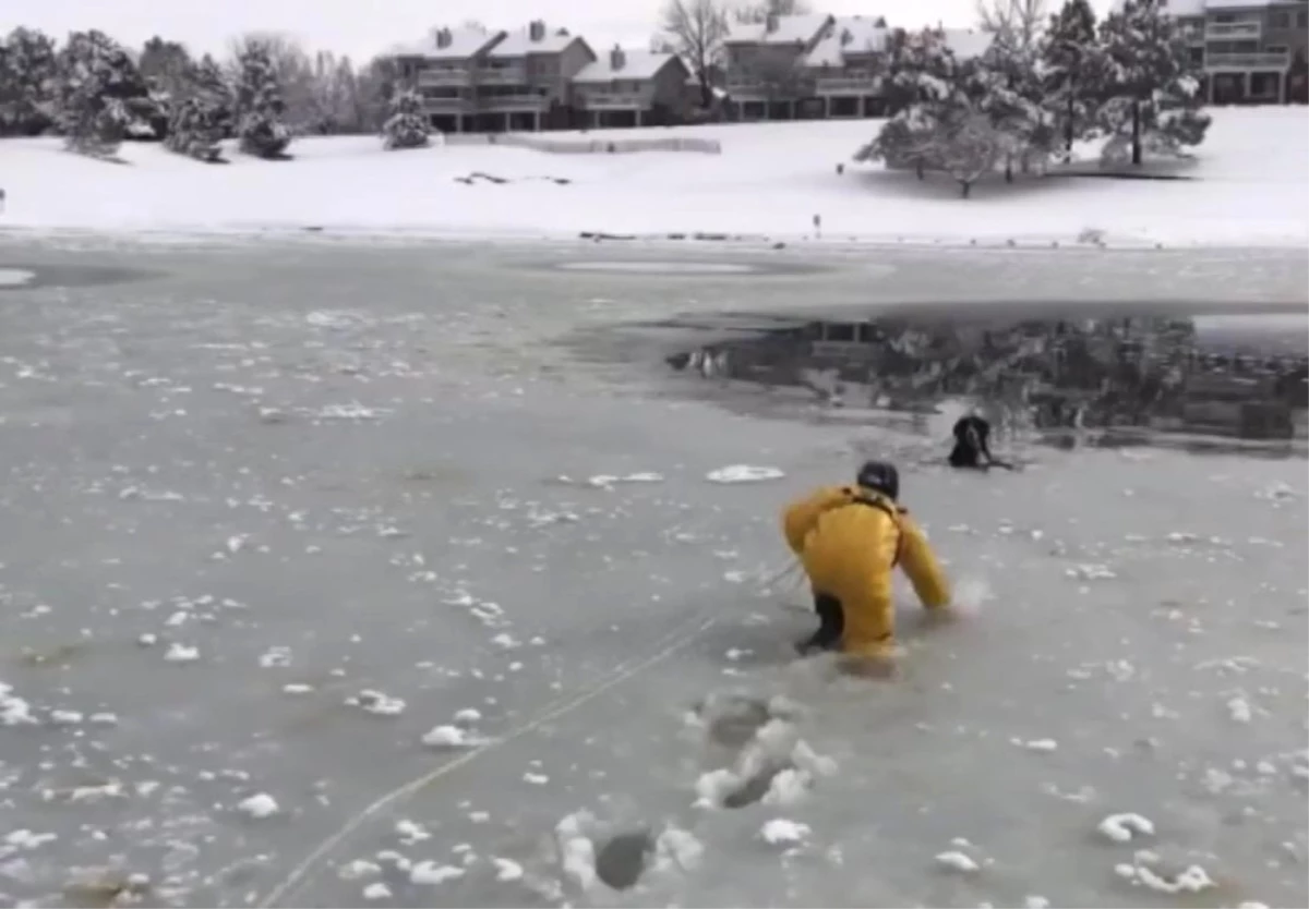 İtfaiyeciler Buz Tutan Göldeki Köpeği Bata Çıka Kurtardı