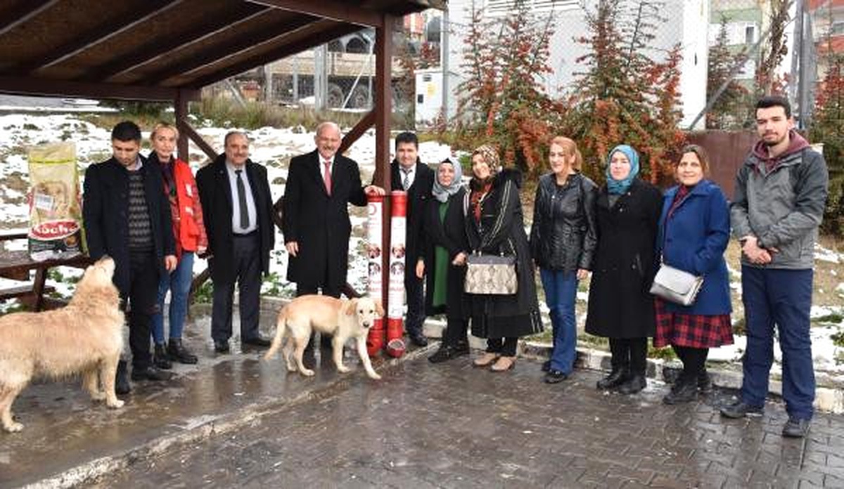 Karabük\'te Sokak Hayvanları \'Dostluk Aparatı\' ile Aç Kalmayacak