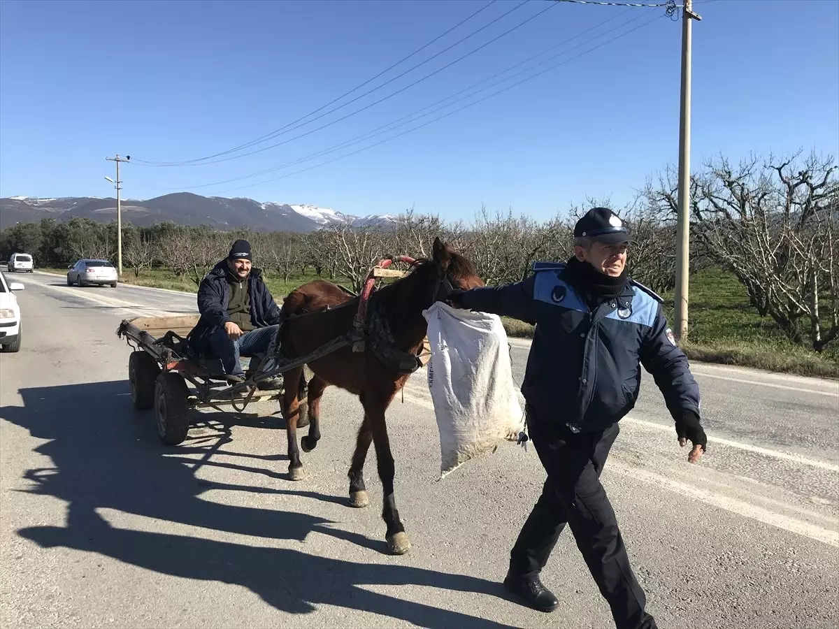 Sahipsiz At Arabasına Zabıta Müdahalesi