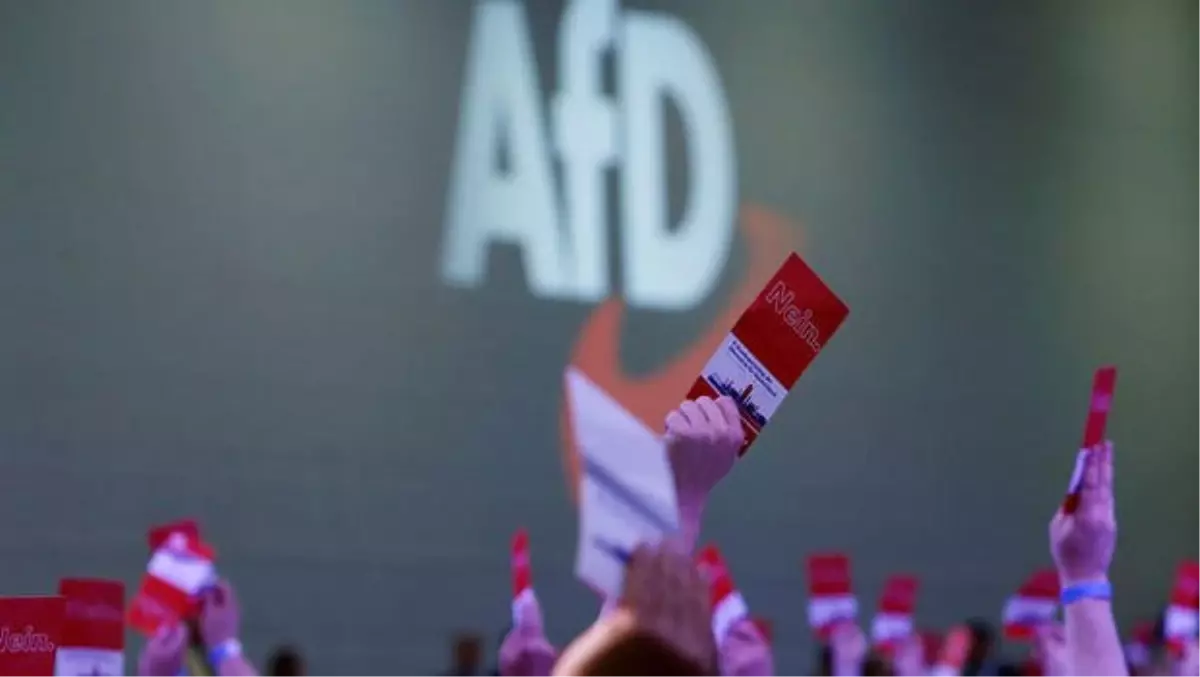 Afd Tedirgin