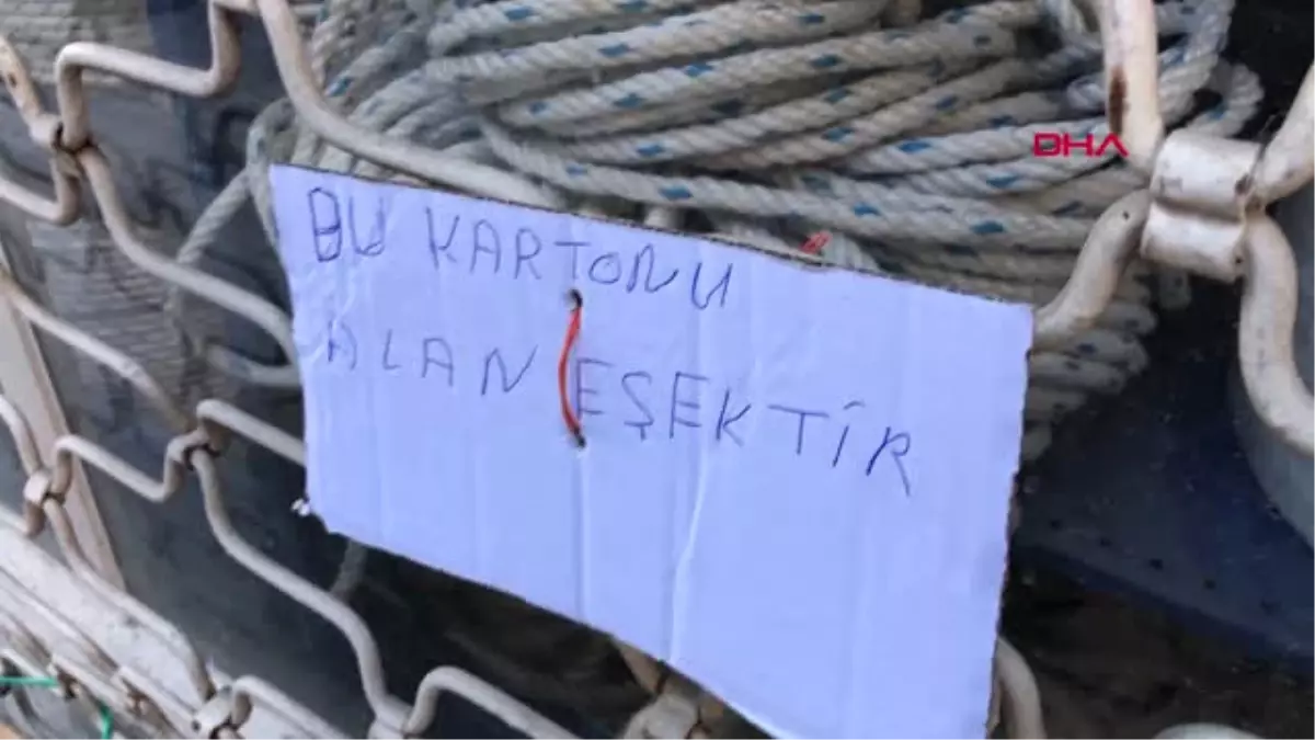 Bursa Sokak Köpeğine Kartondan Ev Yaptı