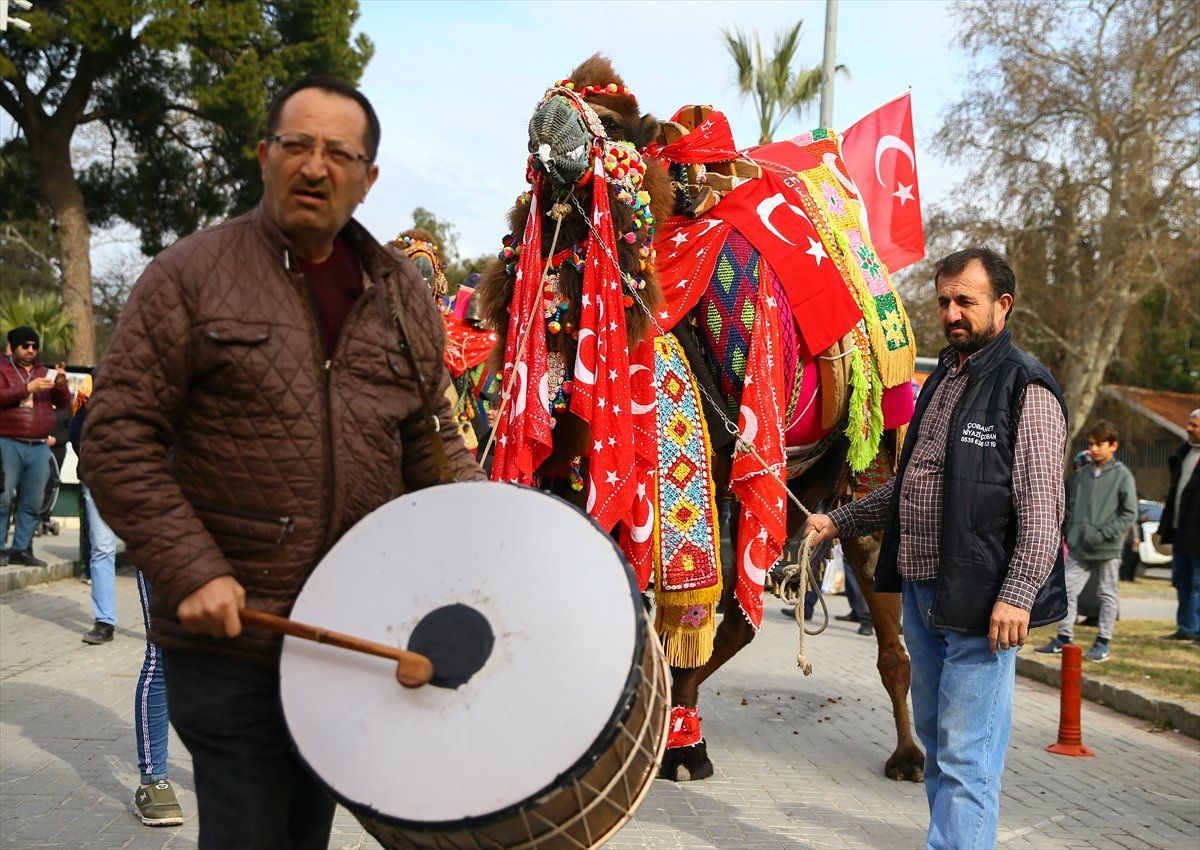 İzmir\'de "En Güzel Deve" Seçildi