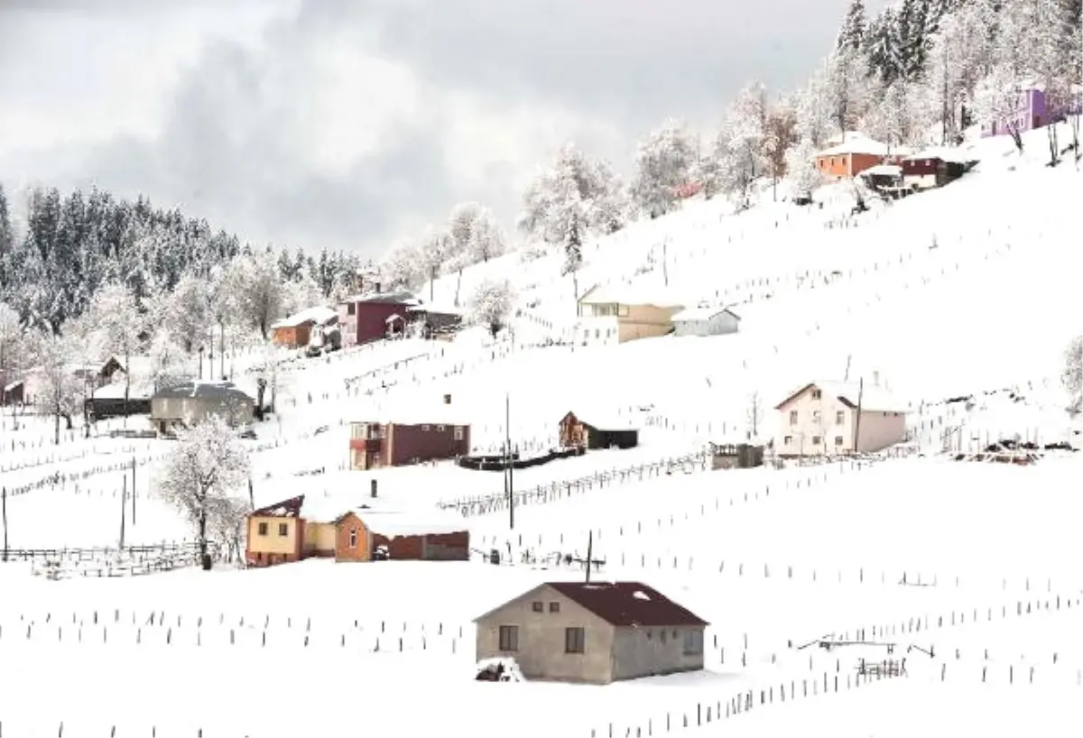 Karadeniz\'de Kış Güzelliği