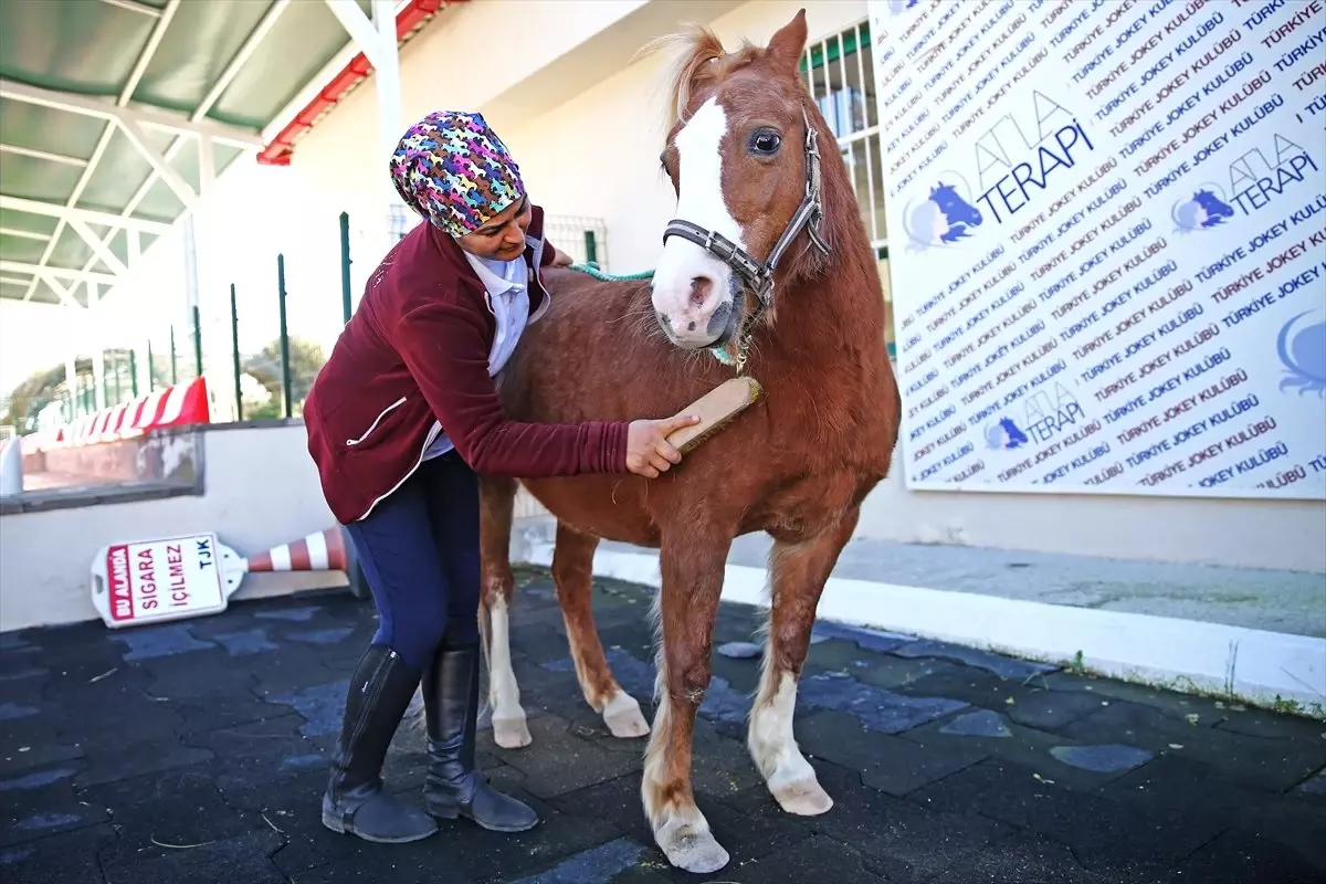 Kadın Seyis, Atları Çocuklarından Ayırt Etmiyor