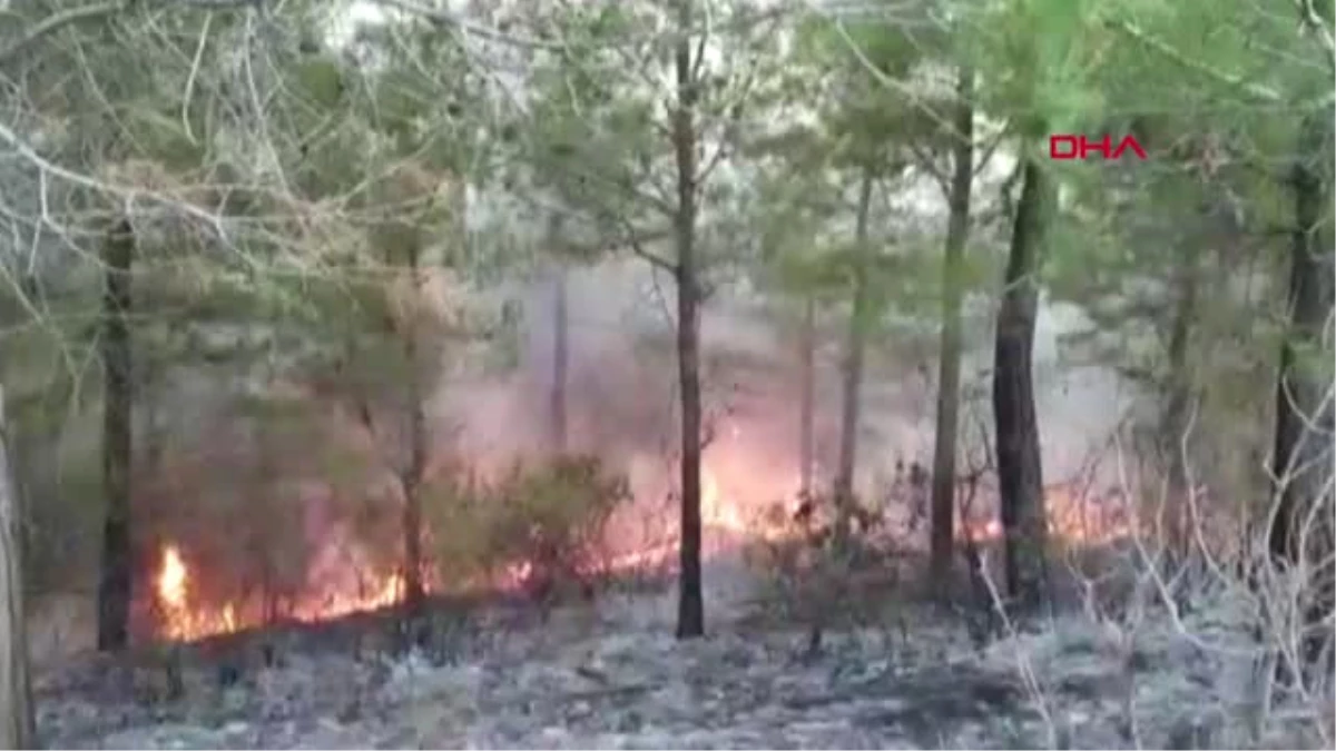Osmaniye Kadirli\'de Makilik Alanda Çıkan Yangın Ormana Sıçradı