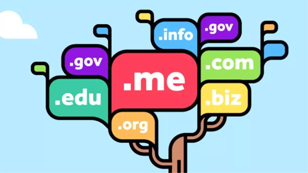 Saçma Domain\'lerin Fiyatlarını Tahmin Etme Üzerine Kurulu Tarayıcı Oyunu