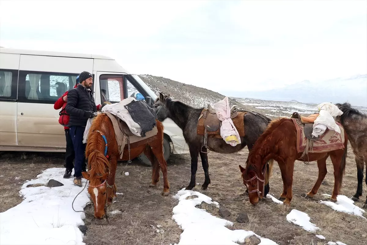 Yük Taşımakta Kullanılan Katırlar Dağcıların Yoldaşı Oldu