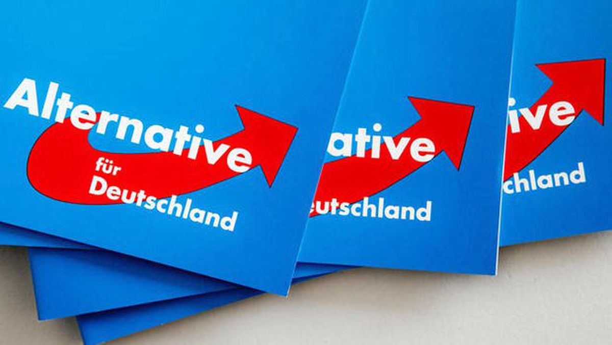 Alman İstihbaratı Afd\'yi Neden Takibe Aldı?
