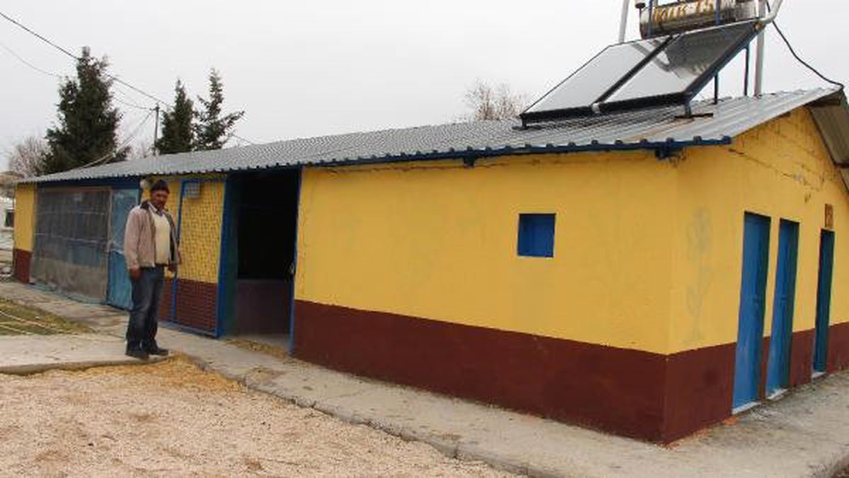 Barınağa Konulan Köpek Çalındı