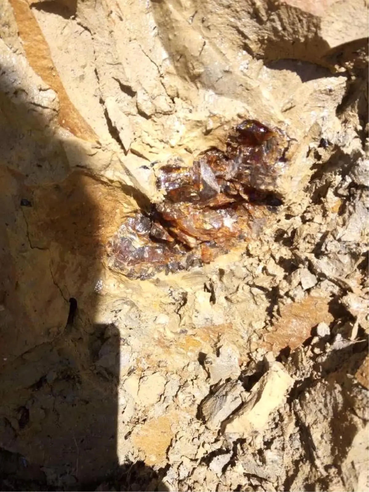 Bayburt\'ta Kömür Diye Toplanıp Yakılan Taşın Kehribar Olduğu Öğrenilince, Bir Çok Ülke Almak İçin Sıraya Girdi