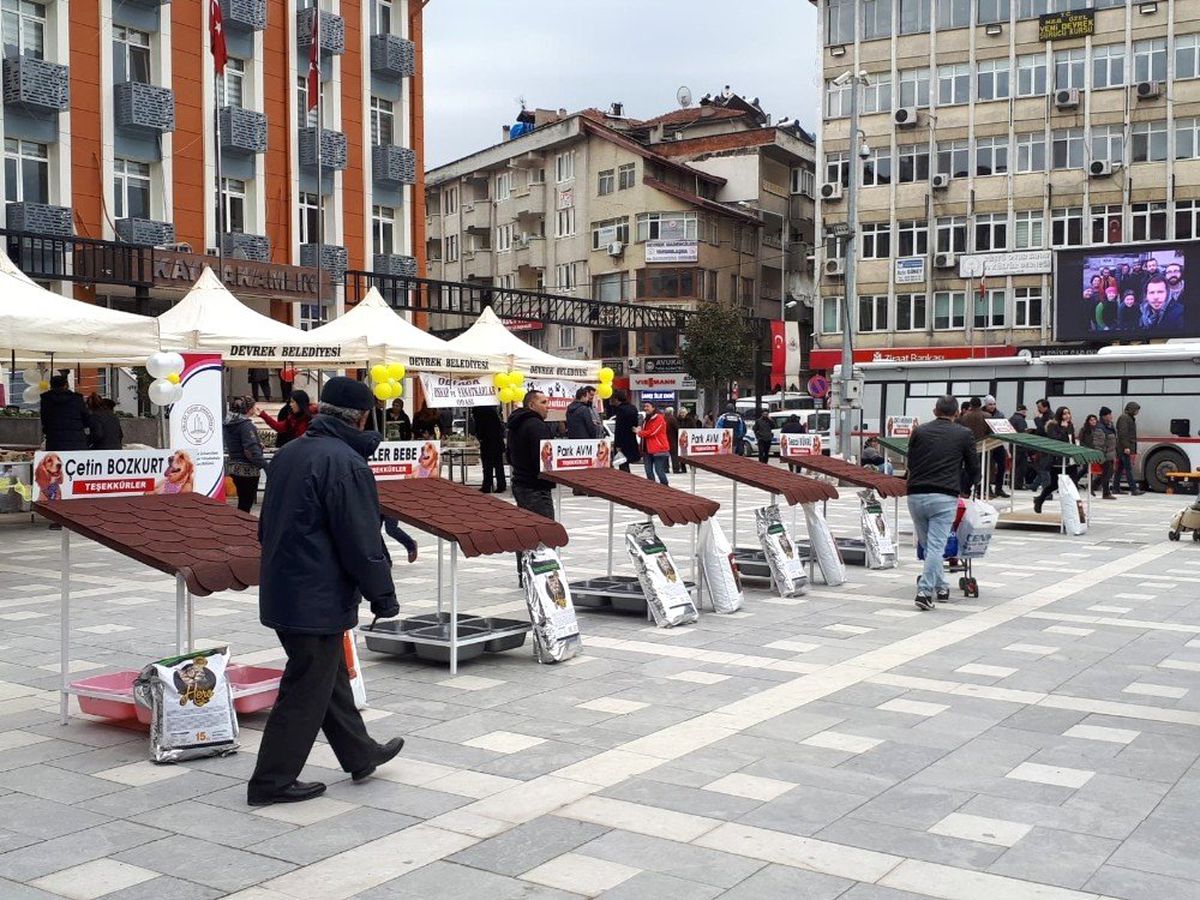 Devrek\'te Sokak Hayvanları Yararına Kermes