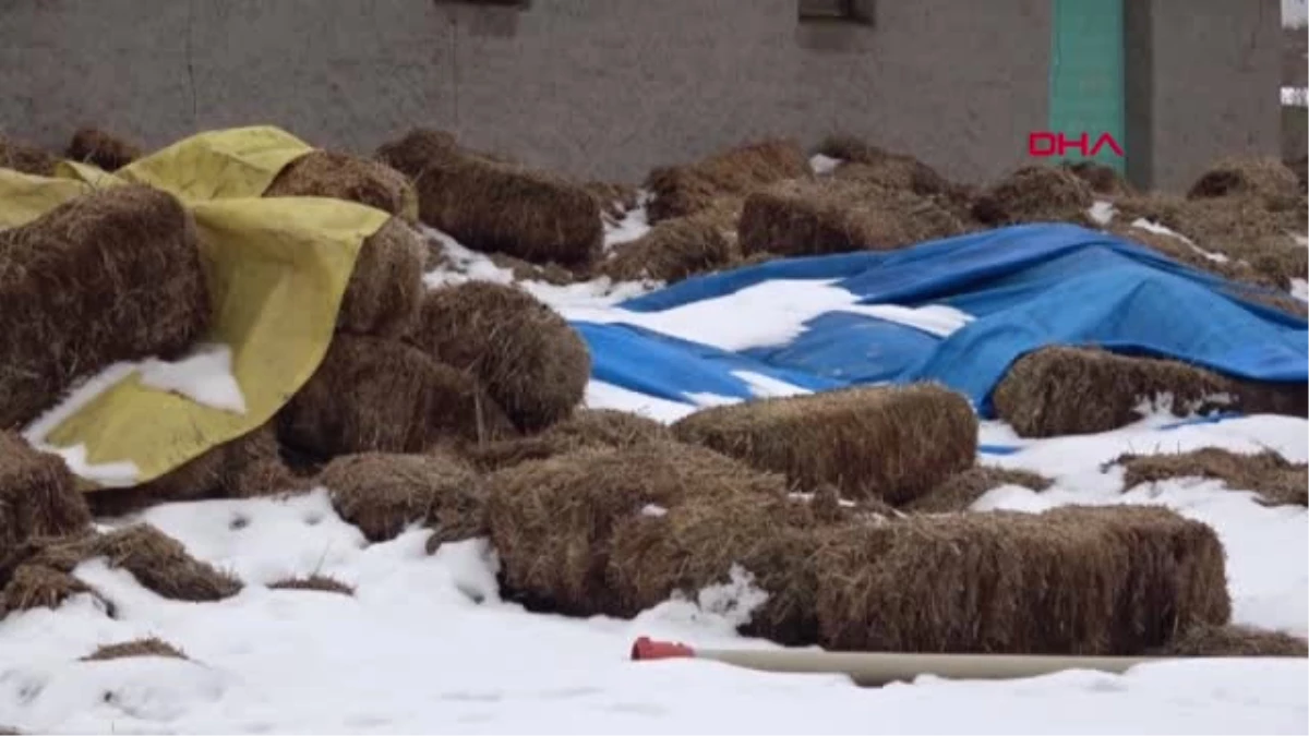 Eskişehir Ukrayna\'dan Koyun Getirmek İsterken Dolandırıldı