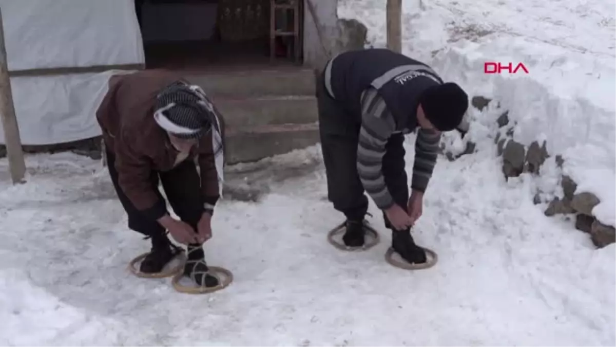 Hakkari Yazın Biçtikleri Otları Kışın Kızakla Köye Taşıyorlar