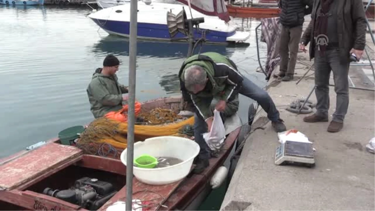 Maalesef Hamsi Kısa Sürdü" - Zonguldak