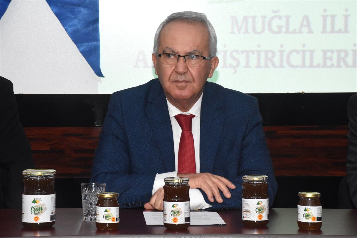 Muğla Çam Balında Markalaşma Çalışmaları