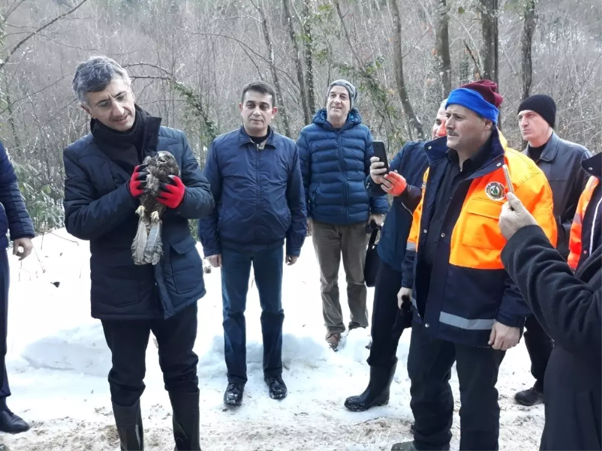 Vali Bektaş, Harmankaya Şelalesini Gezdi