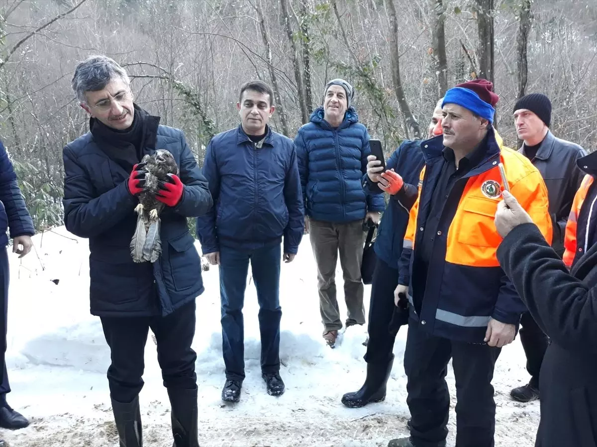 Vali Erdoğan Bektaş, Harmankaya Şelaleleri\'ni Gezdi