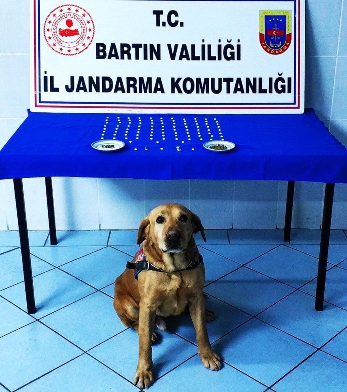 Bartın\'da Uyuşturucu Tacirlerine Darbe