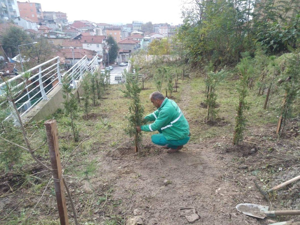 İzmit\'te Park Bahçe Çalışmaları Devam Ediyor