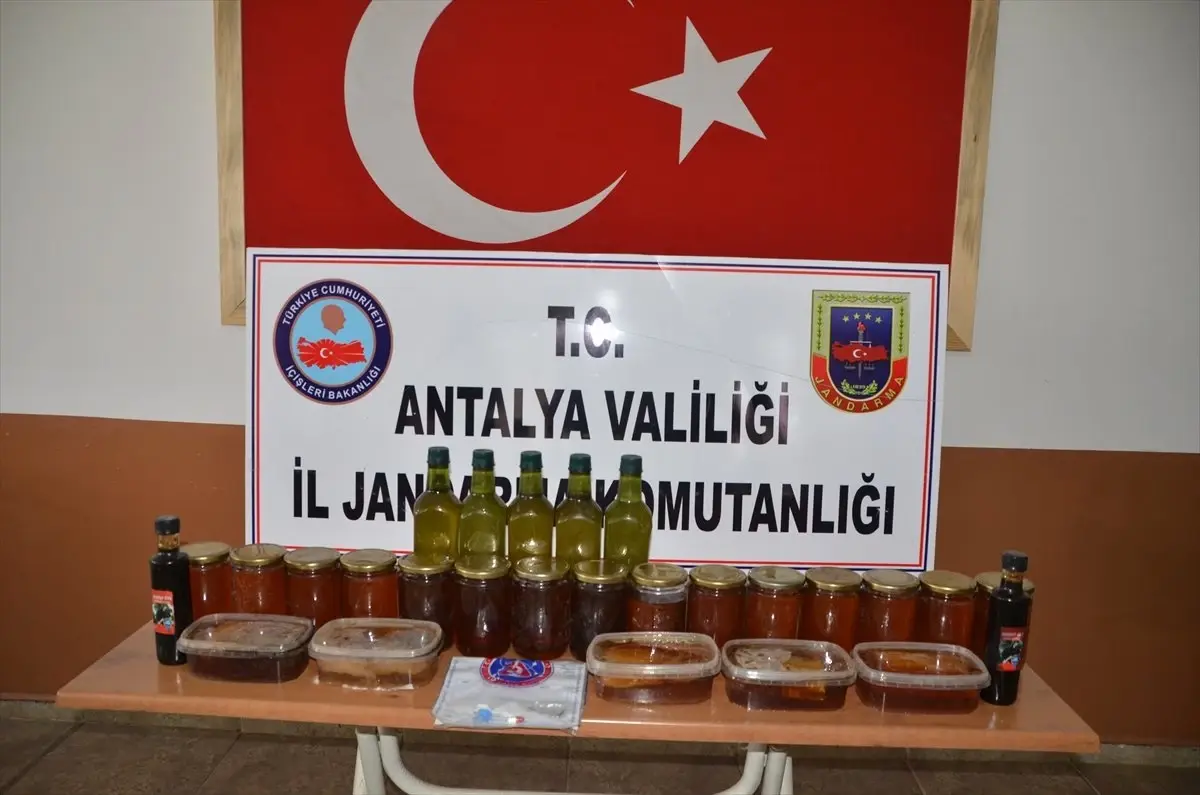 Jandarmadan Yol Uygulaması