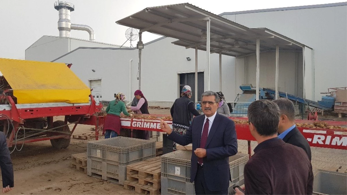 Konya Şeker\'in Yaptığı Tesisle Konya\'da Patates Üretimi 3 Kat Arttı