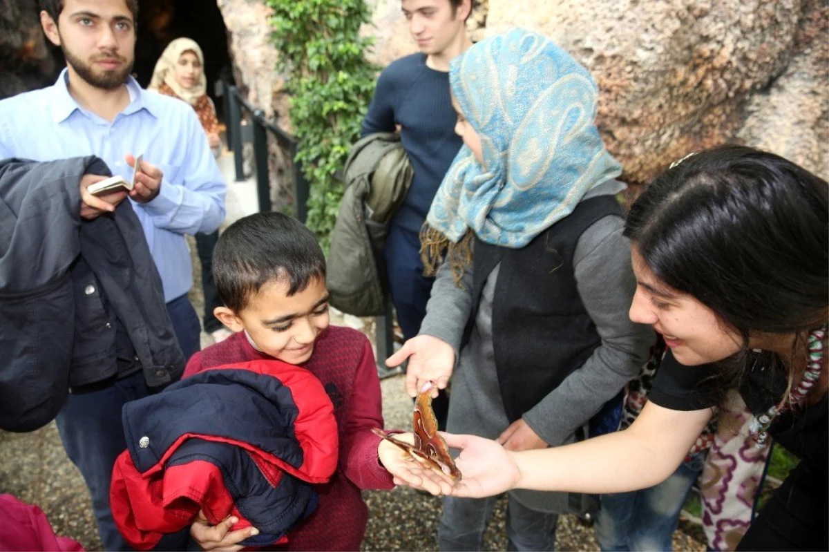 Tropikal Kelebek Bahçesi, Yarıyıl Tatilinde Öğrencilere Ücretsiz