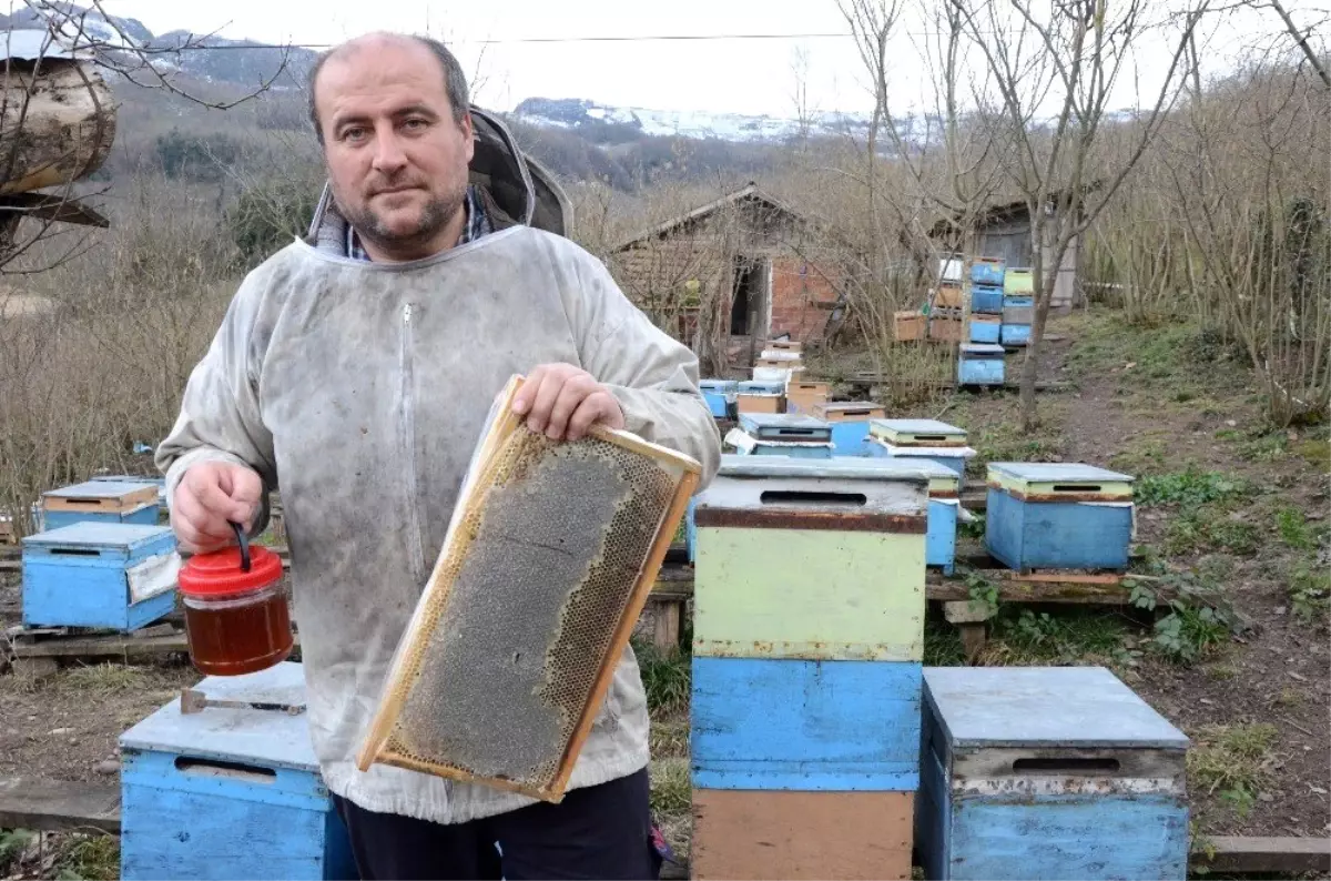 Ürettiği Balı Sosyal Medyadan Satıyor, Giderek Takipçi Sayısı Artıyor