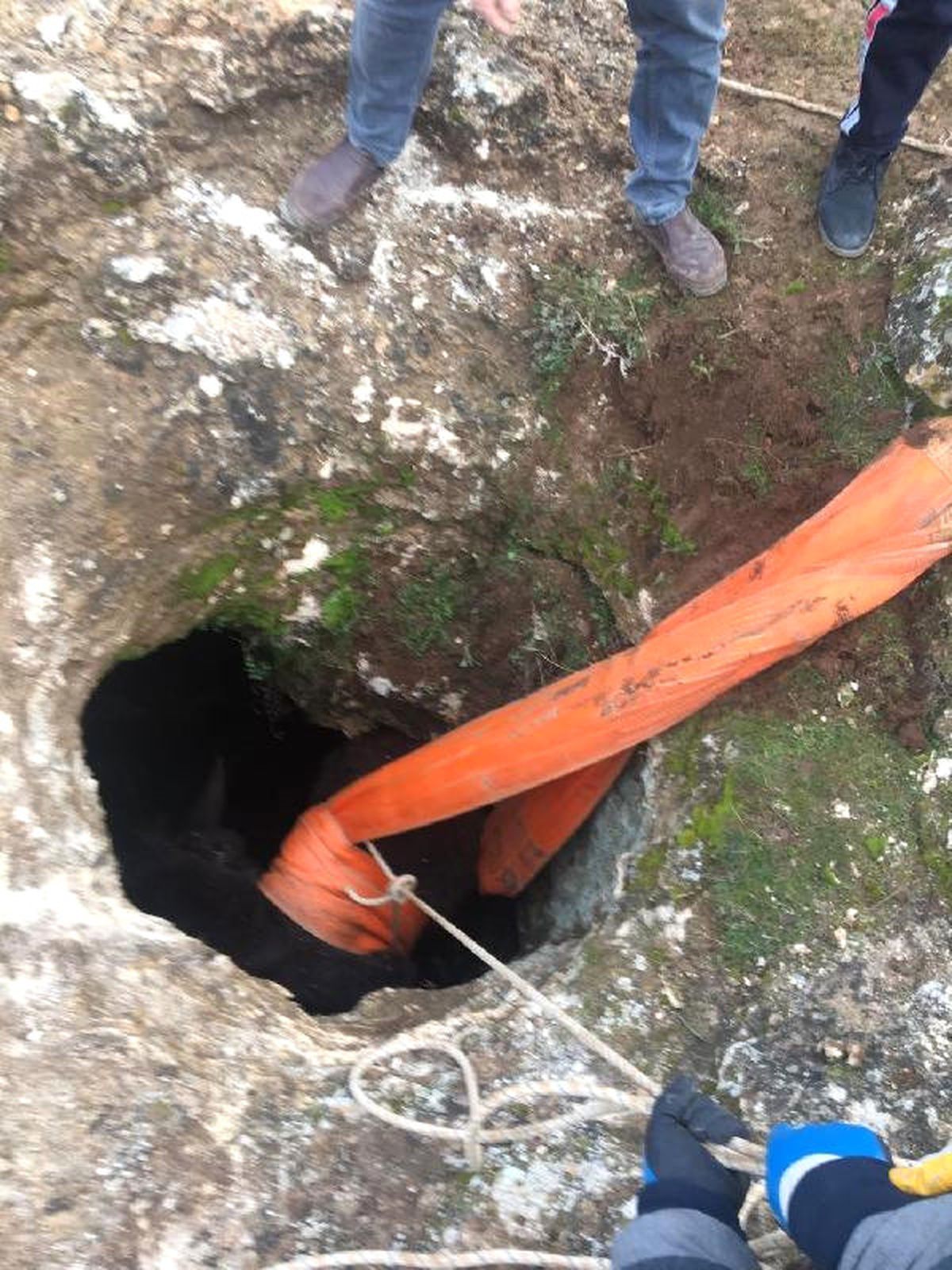 5 Metrelik Su Kuyusuna Düşen Eşek 4 Saatte Kurtarıldı