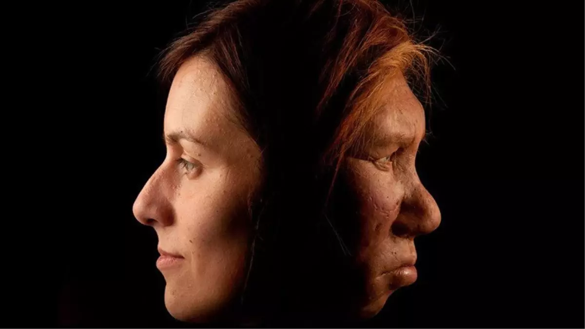 Bir Araştırmaya Göre Modern İnsanlar, Eskisine Göre Daha Az Mutasyon Geçiriyor