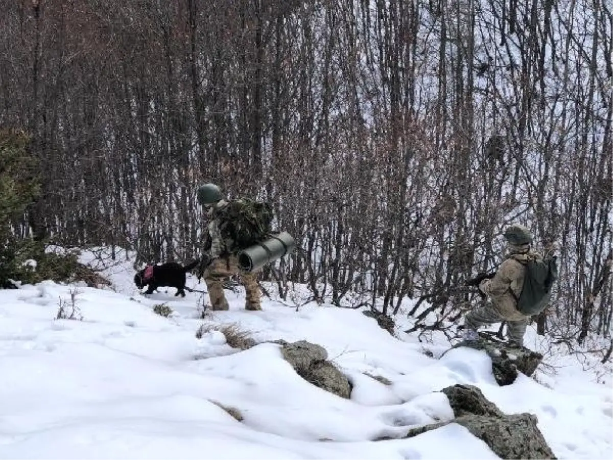 Bitlis\'te 2 Metre Karda Terör Operasyonu