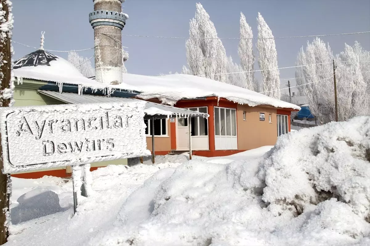 Çamaşırlar ve Tabelalar Dondu, Ağaçlar Buz Tuttu