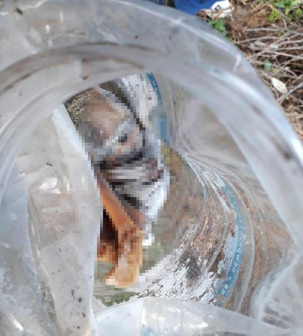 Plastik Bidon İçinde Bebek Cesedi Bulundu
