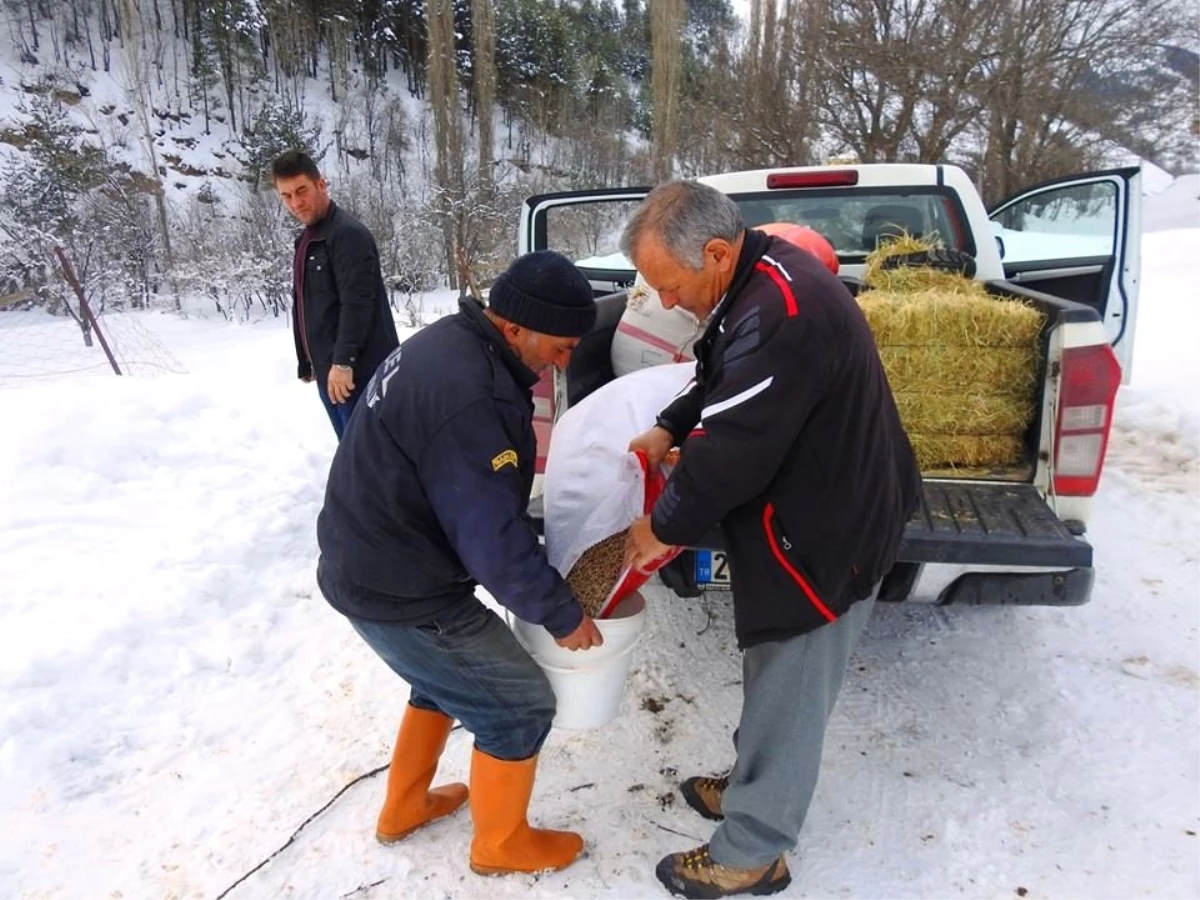 Yabani Hayvanlar İçin Doğaya Yem Bırakılıyor