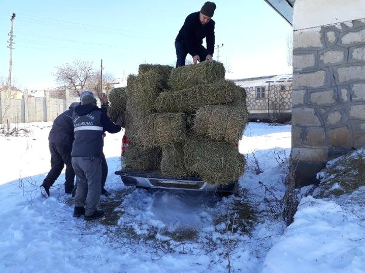 Elazığ\'da Yaban Hayvanları İçin 10 Ton Yem