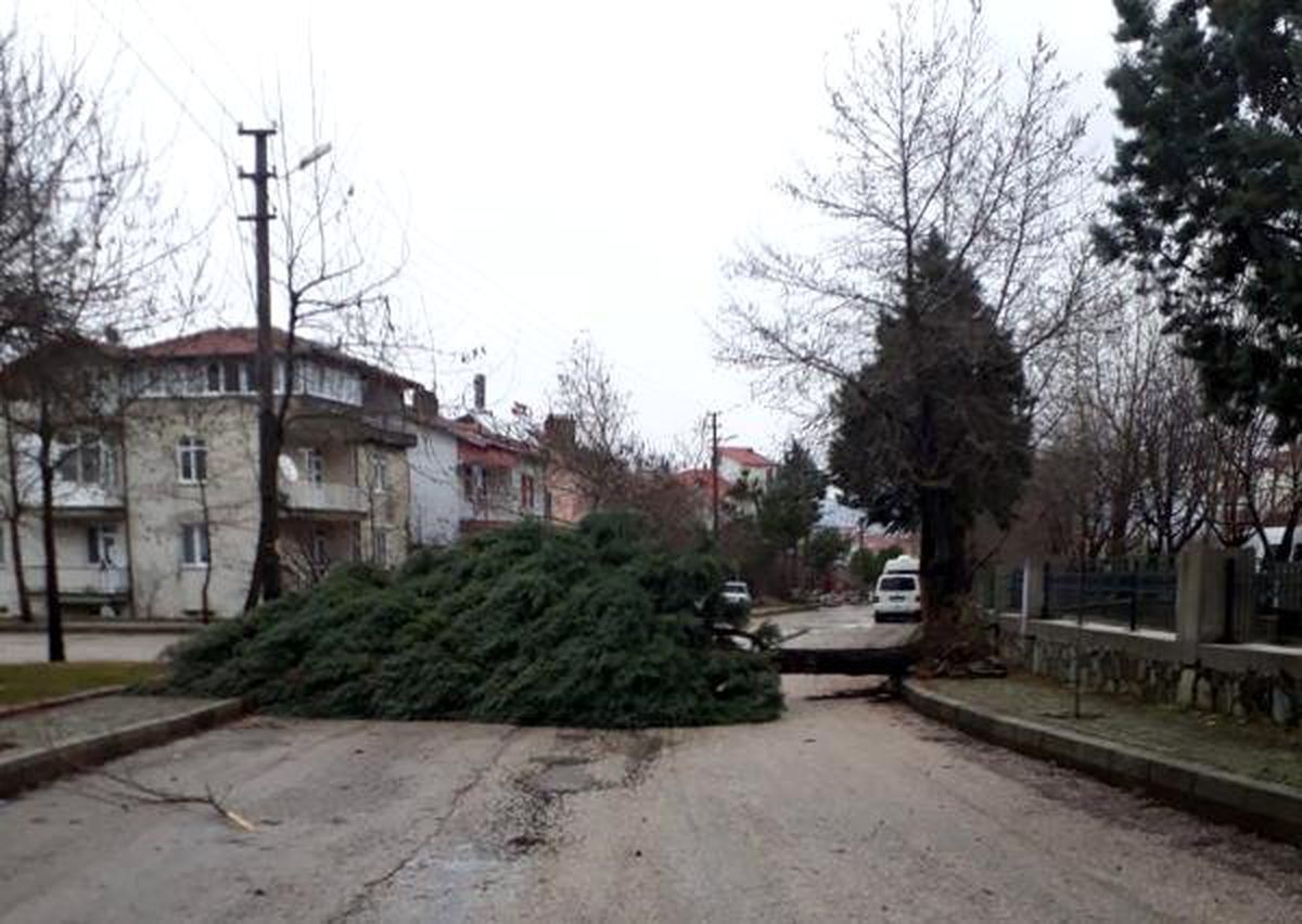 Isparta\'da Şiddetli Rüzgar Ağaçları Devirdi