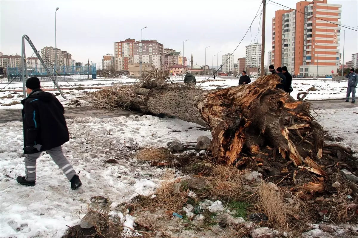 Kayseri\'de Devrilen Ağacın Altında Kalan Kişi Öldü