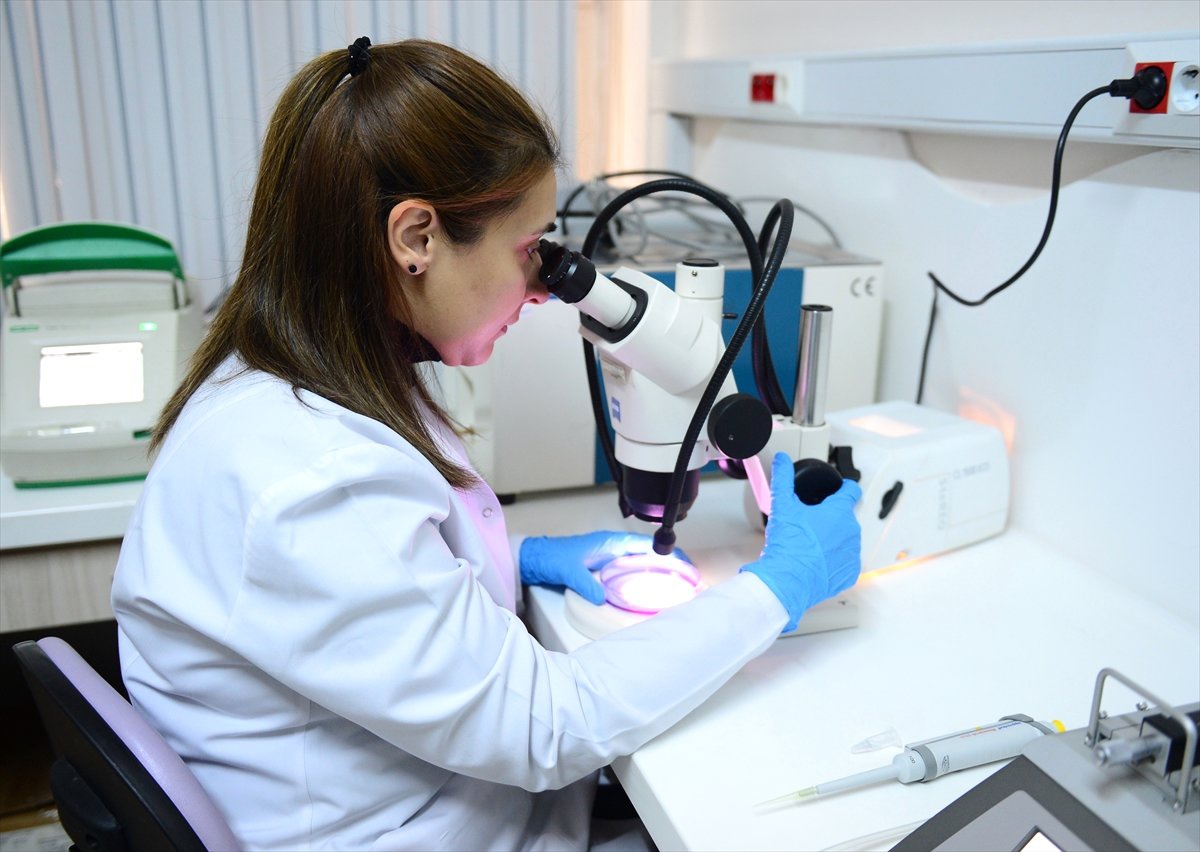 Kireçlenme Hastalığına Karşı Hidrojen Sülfür Etkisi Araştırıldı