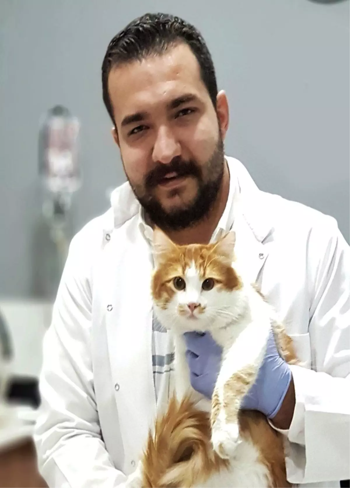 Veteriner Hekimler Odası Başkanı Şahin, "Toxoplasma Dünün Bugünün Hastalığı Değildir"