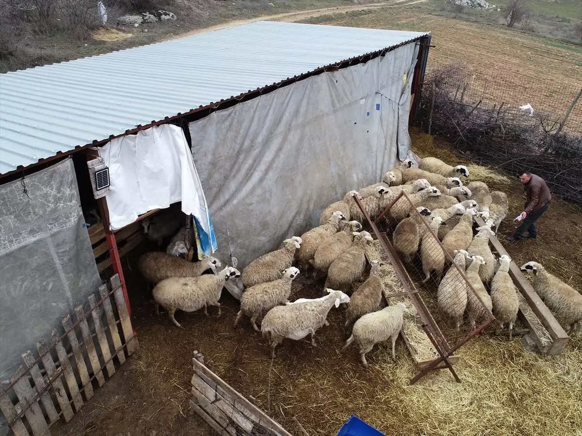 Bir Elini Kaybetti Devlet Desteğiyle Üretime Devam Etti