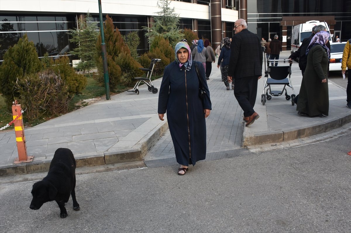 Güvenlik Görevlilerinin Sahiplendiği "Karakız" Hastanenin Maskotu Oldu