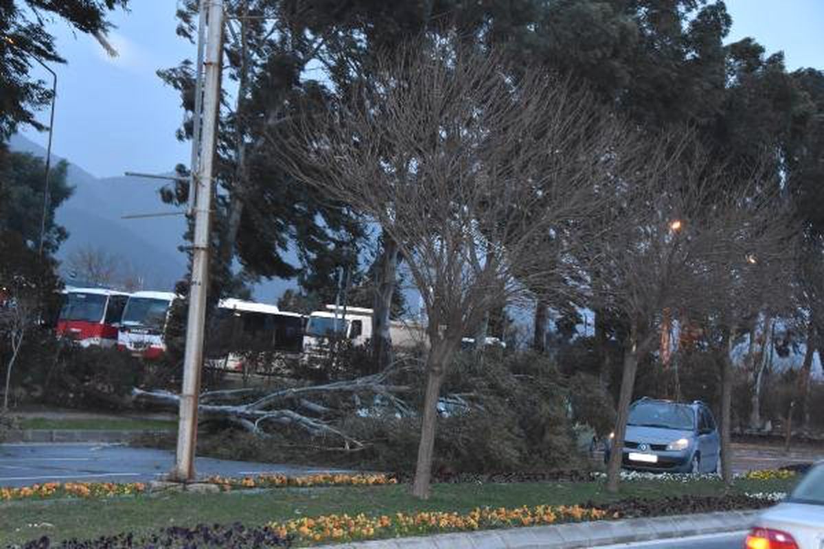 İzmir\'de Fırtına Nedeniyle Ağaçlar Devrildi, Çatılar Uçtu, Vapur Seferleri İptal Edildi (2)