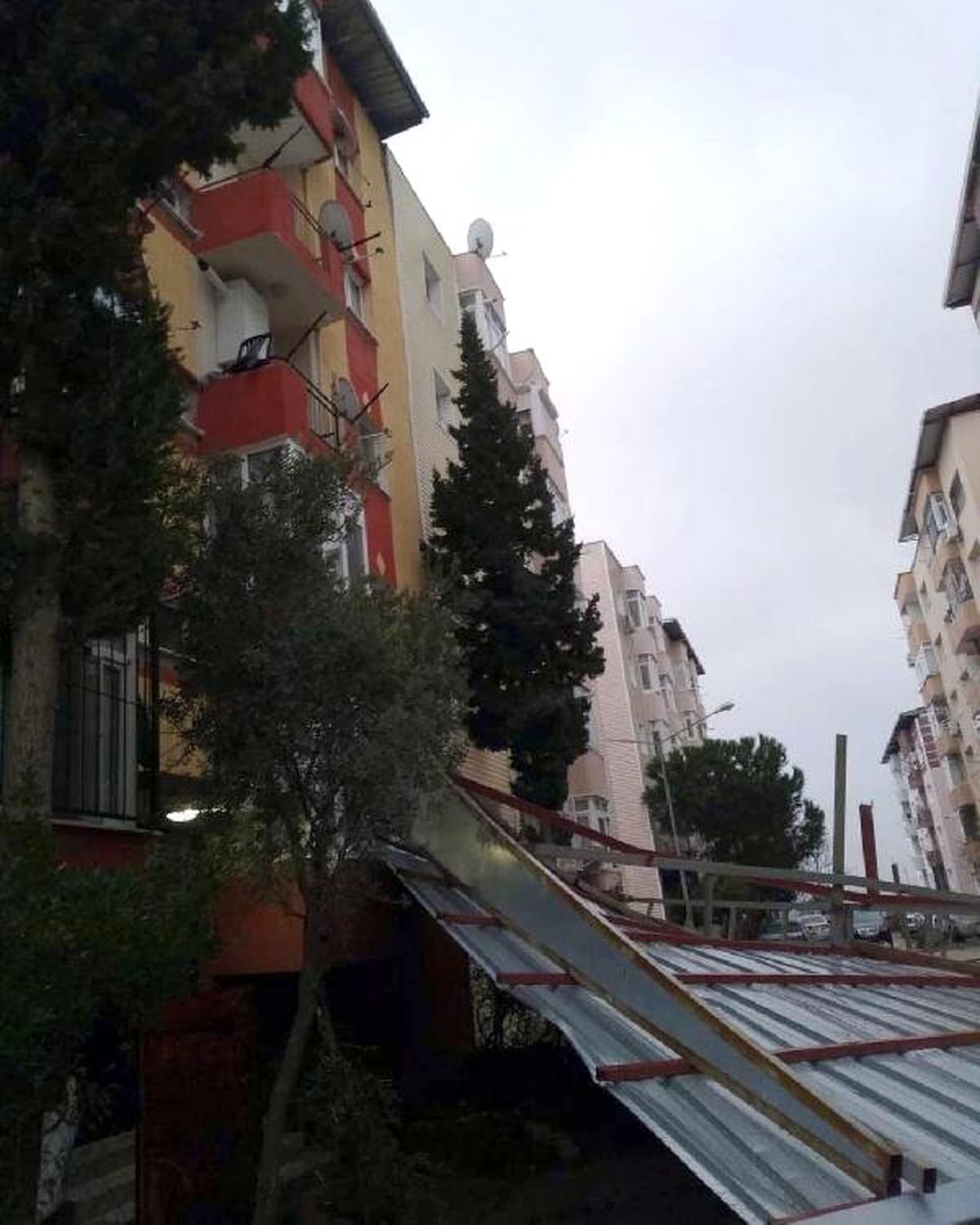 İzmir\'de Fırtına Nedeniyle Ağaçlar Devrildi, Çatılar Uçtu, Vapur Seferleri İptal Edildi (3)