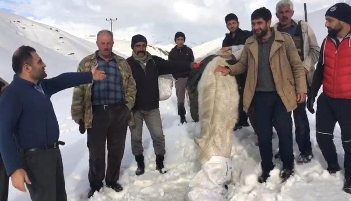 Karda Mahsur Kalan At 5 Saatlik Çalışmayla Kurtarıldı