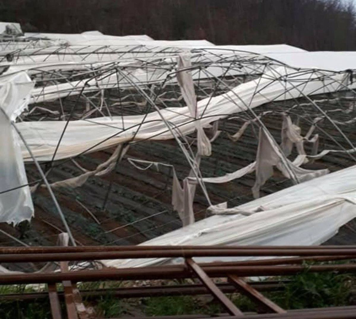 Alanya\'da Hortum Seralara Zarar Verdi