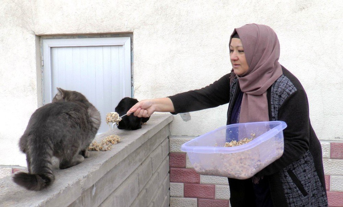 Ana Kız Sokak Hayvanlarına Kol Kanat Gerdi