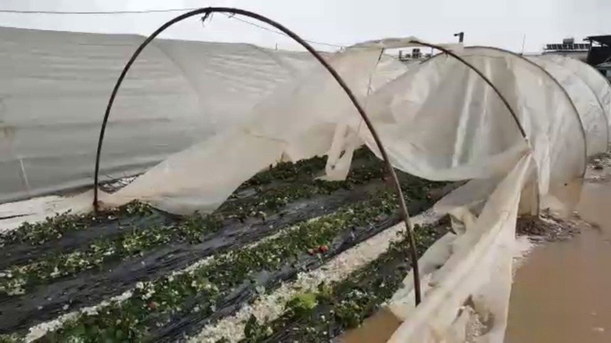 Antalya\'da Avuçiçi Büyüklüğünde Dolu Seraları Vurdu