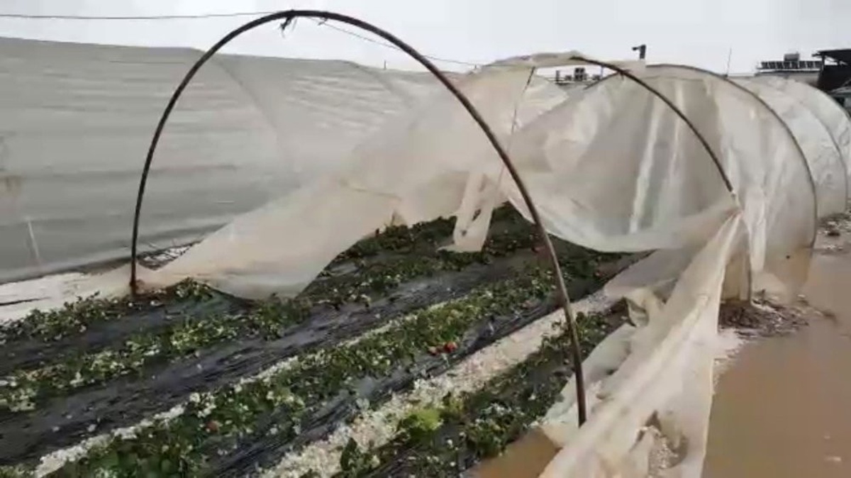 Antalya\'da Avuçiçi Büyüklüğünde Dolu Seraları Vurdu